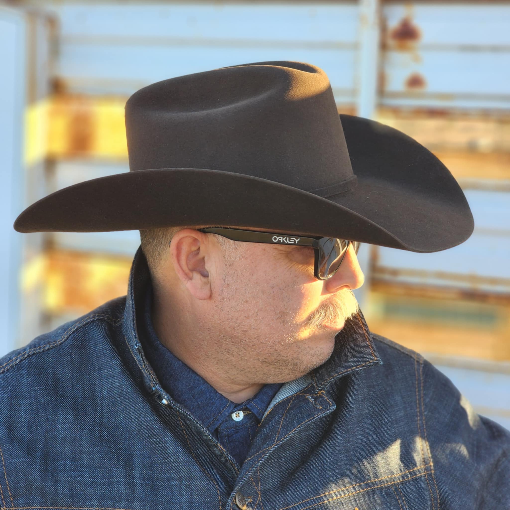 American Hat - 7X Chocolate Felt Cattleman/JB 4 1/2